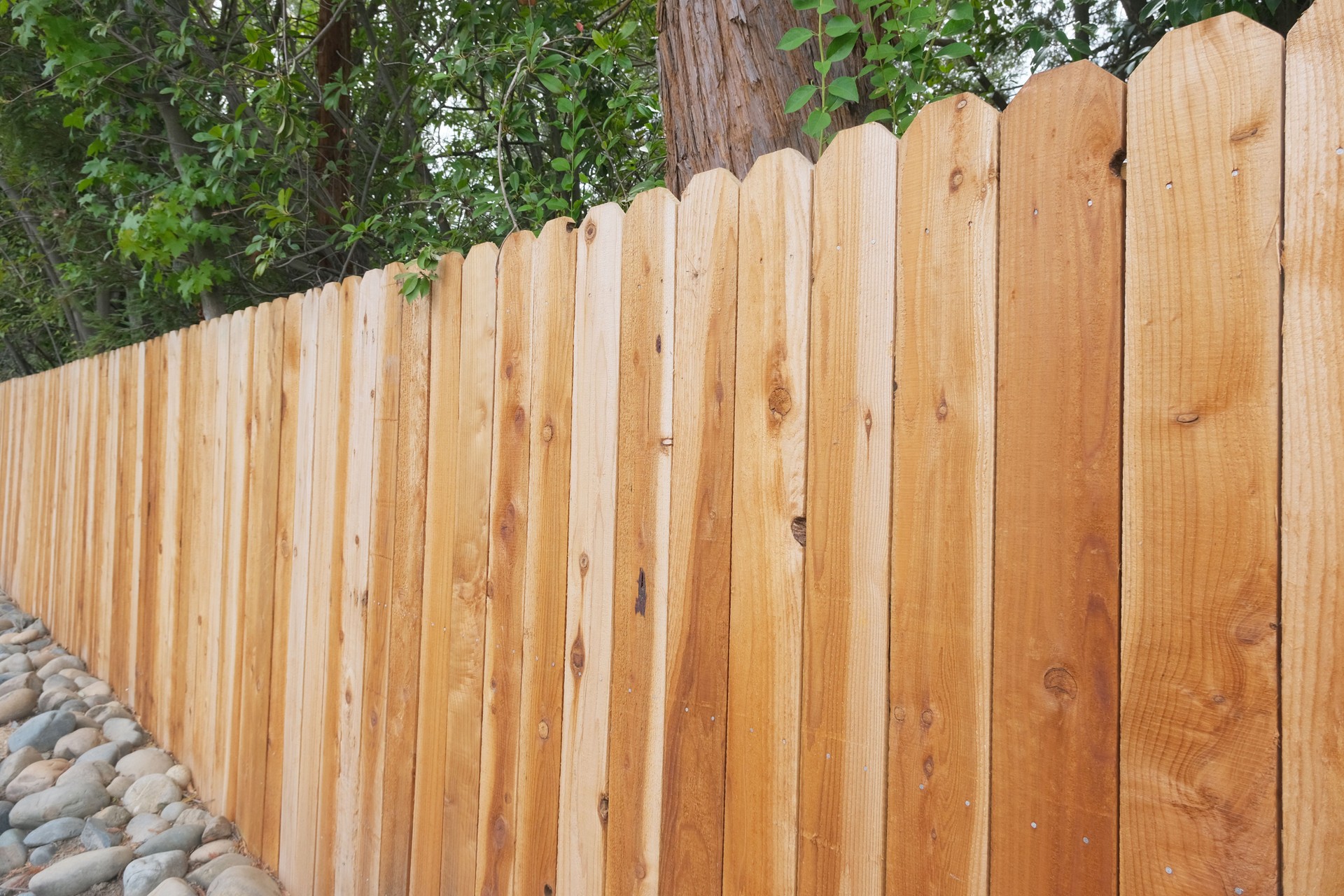 New wooden fence